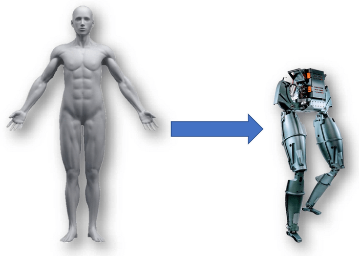 Human-like robots